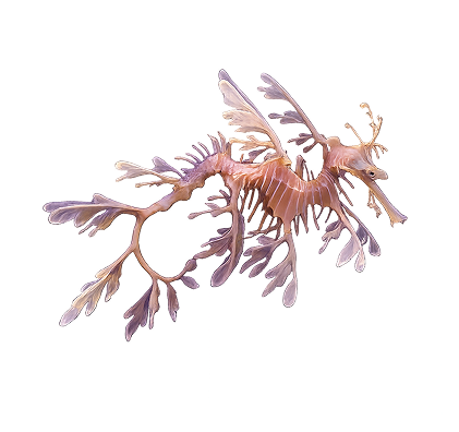 Our name sounds like Lea-fy